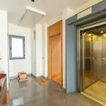 公寓 La Maestranza Charming One Or Two Bedrooms By Ocityzen